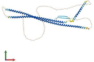 Protein Structure (PS) image for Keratin 12 (KRT12) (AA 1-494) protein (His tag) (ABIN7548614)