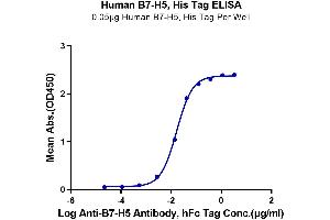 Immobilized Human B7-H5, His Tag at 0. (VTCN1 Protein (AA 33-194) (His tag))