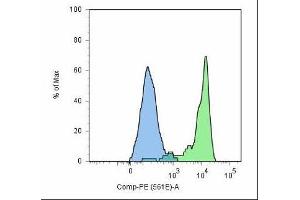 Flow cytometry analysis of FOLH1 (PSMA) using FOLH1 monoclonal antibody, clone GCP-05  and goat anti-mouse-PE on LNCaP cell line (positive, Green) and HeLa cells (negative, blue).