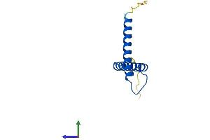 Protein Structure (PS) image for Translocase of Inner Mitochondrial Membrane 8A (TIMM8A) (AA 1-97) protein (His tag) (ABIN7556311)