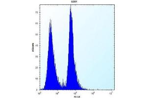 Flow cytometric analysis of U251 cells using SEL1L3 / KIAA0746 Antibody (N-term) Cat. (Sel1l3,kiaa0746 (AA 260-290), (N-Term) Antikörper)