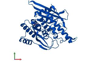 Protein Structure (PS) image for Pyridoxal Kinase (PDXK) (AA 1-312) protein (His tag) (ABIN7559461)