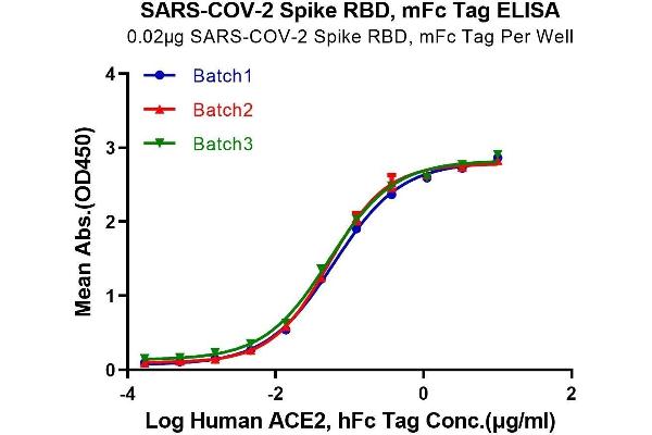 SARS-CoV-2 Spike Protein (RBD) (mFc Tag)