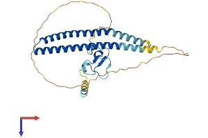 ING1 Protein (AA 1-279) (His tag)