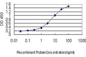 Detection limit for recombinant GST tagged WASF2 is approximately 0. (WASF2 Antikörper  (AA 73-172))