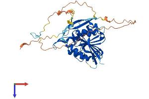 METTL22 Protein (AA 1-393) (His tag)