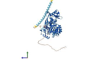 Protein Structure (PS) image for RecQ Protein-Like (DNA Helicase Q1-Like) (RECQL) (AA 1-649) protein (His tag) (ABIN7551321)