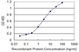 Detection limit for recombinant GST tagged SNAPC4 is 0. (SNAPC4 Antikörper  (AA 53-162))