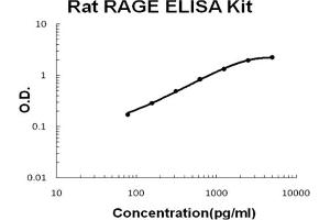 Rat RAGE Accusignal ELISA Kit Rat RAGE AccuSignal ELISA Kit standard curve. (RAGE ELISA Kit)
