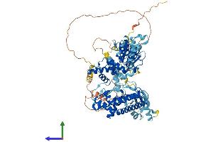 Protein Structure (PS) image for AFG3-Like Protein 2 (AFG3L2) (AA 1-797) protein (His tag) (ABIN7552104)