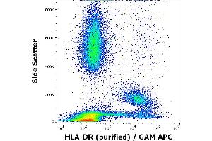 Flow cytometry surface staining pattern of human peripheral whole blood stained using anti-human HLA-DR (MEM-12) purified antibody (concentration in sample 0,3 μg/mL, GAM APC). (HLA-DR Antikörper)