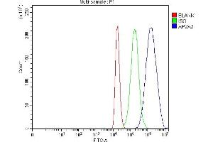 Flow Cytometry analysis of 293T cells using anti-AP2A2 antibody (ABIN7602295).