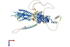 KCNH5 Protein (AA 1-988) (His tag)