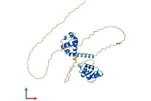 AlphaFold protein structure predicition of Mouse Recombinant Spdef Protein, UniprotID Q9WTP3