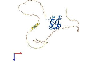 RBM7 Protein (AA 1-266) (His tag)