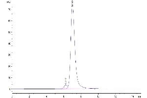 Size-exclusion chromatography-High Pressure Liquid Chromatography (SEC-HPLC) image for V-Set and Immunoglobulin Domain Containing 8 (VSIG8) (AA 22-263) protein (Fc Tag) (ABIN7275845)