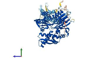 Protein Structure (PS) image for Heat Shock 70kDa Protein 6 (HSP70B') (HSPA6) (AA 1-643) protein (His tag) (ABIN7554125)