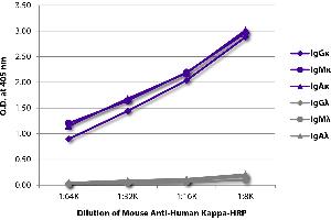 ELISA plate was coated with purified human IgGκ, IgMκ, IgAκ, IgGλ, IgMλ, and IgAλ. (Maus anti-Human Ig (Chain kappa) Antikörper (HRP))