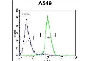 anti-Chromosome 1 Open Reading Frame 51 (C1orf51) (AA 18-47), (N-Term) antibody