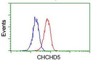 Image no. 8 for anti-Coiled-Coil-Helix-Coiled-Coil-Helix Domain Containing 5 (CHCHD5) (AA 1-110) antibody (ABIN1490561) (CHCHD5 Antikörper  (AA 1-110))