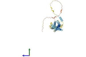 Protein Structure (PS) image for Syntaxin 5 (STX5) (AA 1-355) protein (His tag) (ABIN7559471)