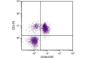 Chicken peripheral blood lymphocytes were stained with Mouse Anti-Chicken CD28-FITC. (CD28 Antikörper  (FITC))