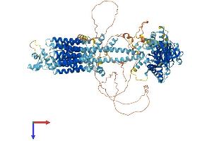 ADCY5 Protein (AA 1-1262) (His tag)