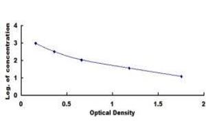 ELISA image for Growth Hormone Releasing Hormone (GHRH) ELISA Kit (ABIN415038)