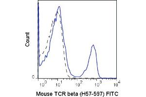 C57Bl/6 splenocytes were stained with 0. (TCR beta Antikörper  (FITC))
