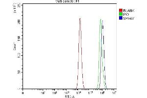 Flow Cytometry analysis of HCT116 cells using anti-SPAG7 antibody (ABIN7599072). (SPAG7 Antikörper  (AA 1-199))