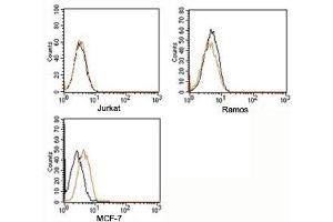 FACS testing of Rabbit IgG isotype control antibody PE conjugate on human samples. (Kaninchen IgG isotype control (PE))