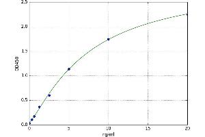 A typical standard curve