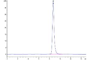 The purity of Mouse LRP10 is greater than 95 % as determined by SEC-HPLC. (LRP10 Protein (AA 18-441) (His tag))
