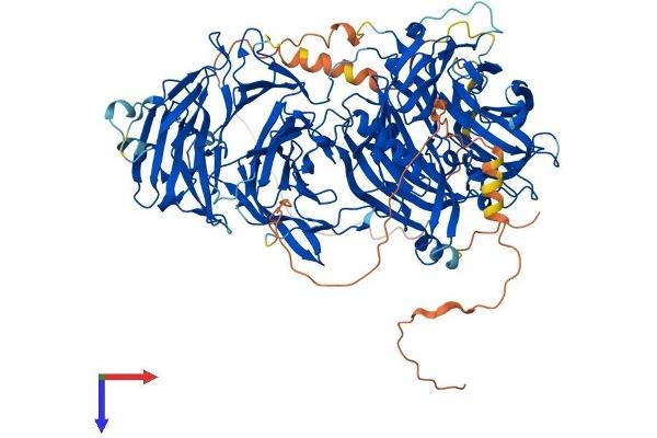 LLGL2 Protein (AA 1-1027) (His tag)