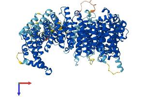 XPO4 Protein (AA 1-1151) (His tag)