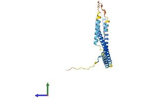 Protein Structure (PS) image for Charged Multivesicular Body Protein 4A (CHMP4A) (AA 1-222) protein (His tag) (ABIN7553322)