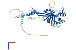 FBXO9 Protein (AA 1-437) (His tag)