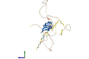 AlphaFold protein structure predicition of Mouse Recombinant Rbfox3 Protein, UniprotID Q8BIF2 (NeuN Protein (AA 1-374) (His tag))