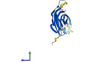 Protein Structure (PS) image for B9 Protein Domain 1 (B9D1) (AA 1-204) protein (His tag) (ABIN7552568)
