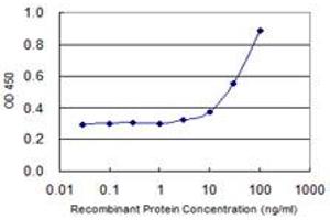 Detection limit for recombinant GST tagged ZFHX4 is 1 ng/ml as a capture antibody. (ZFHX4 Antikörper  (AA 2-93))