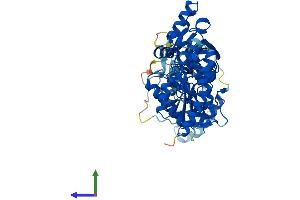 Protein Structure (PS) image for CoA Synthase (COASY) (AA 1-563) protein (His tag) (ABIN7561286)