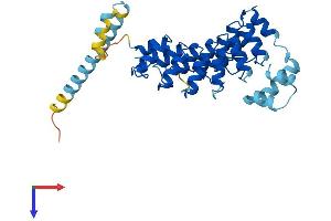 ASB11 Protein (AA 1-323) (His tag)