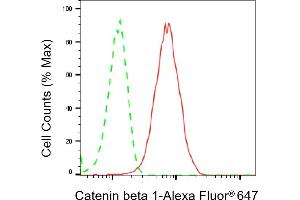 Flow cytometric analysis of Catenin beta 1 expression in HT- cells using Catenin beta 1 antibody (ABIN7797927), 1:2,000). (CTNNB1 Antikörper)