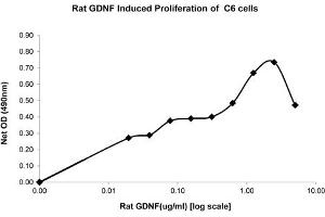 SDS-PAGE of Rat Glial Derived Neurotrophic Factor Recombinant Protein Bioactivity of Rat Glial Derived Neurotrophic Factor Recombinant Protein.