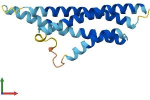 Protein Structure (PS) image for Cornichon Homolog 3 (CNIH3) (AA 1-160) protein (His tag) (ABIN7546622)