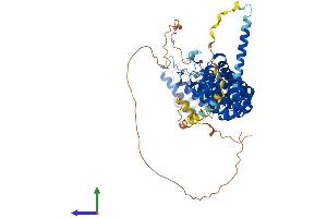 Protein Structure (PS) image for Protein Phosphatase 2, Regulatory Subunit B', delta (PPP2R5D) (AA 1-602) protein (His tag) (ABIN7551810)