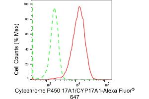 Flow cytometric analysis of Cytochrome P450 17A1/CYP17A1 expression in HeLa cells using Cytochrome P450 17A1/CYP17A1 antibody (ABIN7798251), 1:2,000).