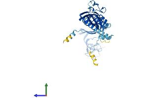 Protein Structure (PS) image for Purinergic Receptor P2X, Ligand-Gated Ion Channel, 4 (P2RX4) (AA 1-388) protein (His tag) (ABIN7561614)