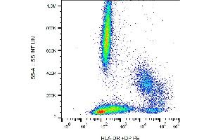 Flow cytometry analysis (surface staining) of human peripheral blood with anti-(HL-38) PE. (HLA-DP/DR Antikörper  (PE))