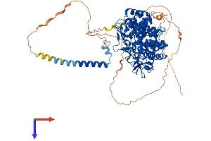 MAN1B1 Protein (AA 1-699) (His tag)